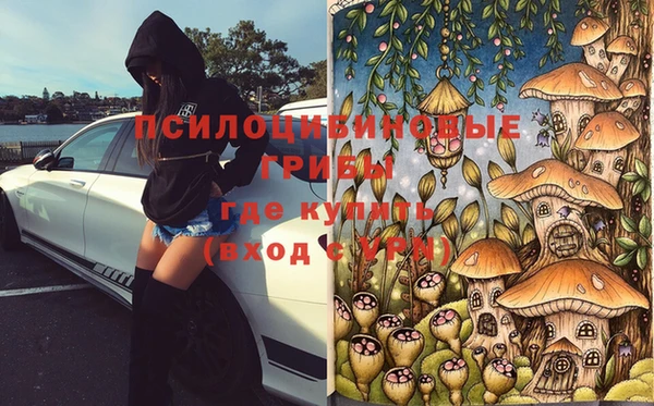 стаф Осташков