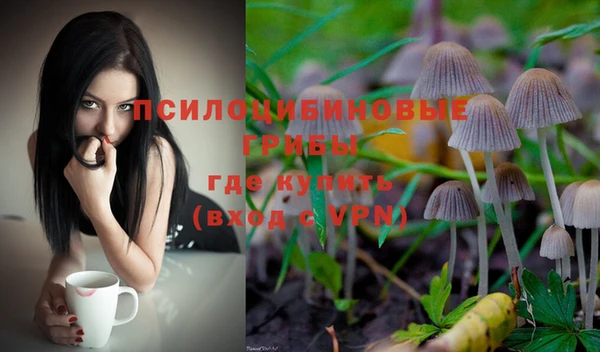 стаф Осташков