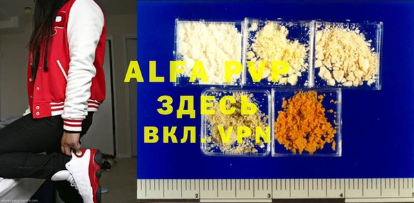 стаф Осташков