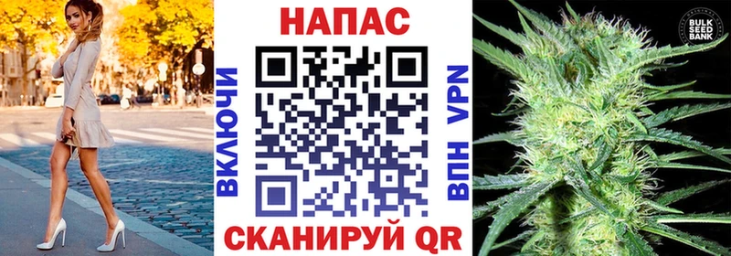купить   Рыбное  Канабис семена 